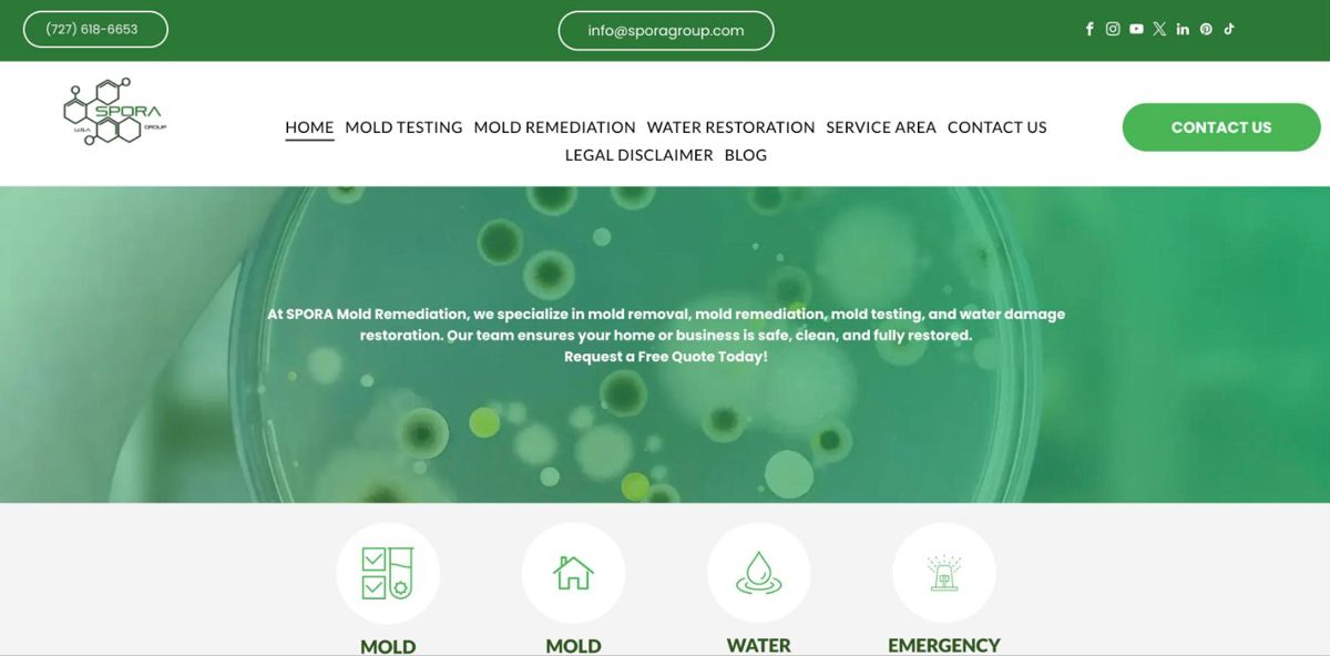 Spora Mold Remediation sitio web